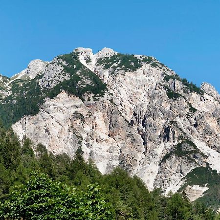 Apartments Armeri Blue Dolomites Сан-Виджилио-ди-Мареббе Экстерьер фото